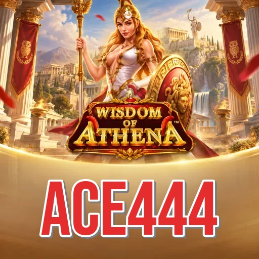 ace444 Install Successful